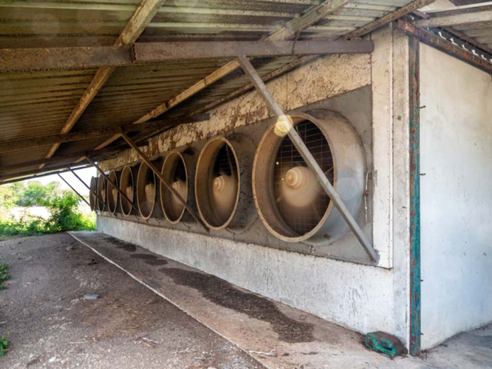 Featured image for “The Importance of Exhaust Fans in Industrial Facilities”